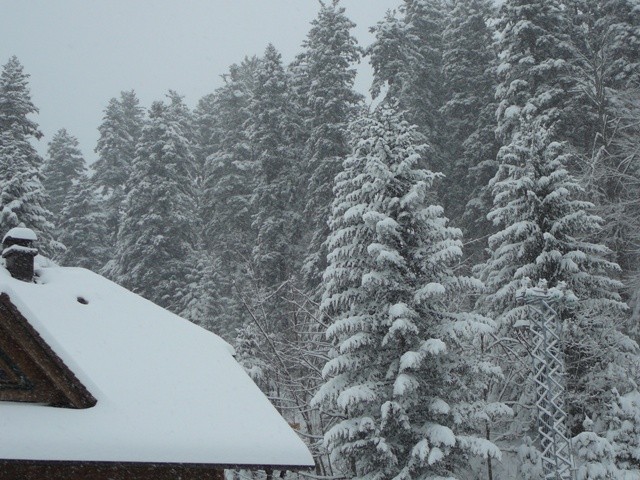 Gorski kotar